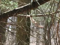first hunt, floor 006.webp