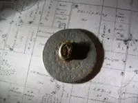 Field finds 5-6-08 009.webp