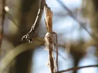 first hunt, floor 009.webp