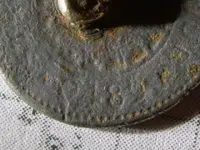 Field finds 5-6-08 010.webp