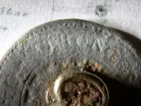 Field finds 5-6-08 012.webp
