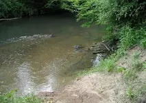 riveredge1.webp