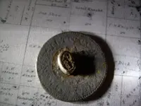 Field finds 5-6-08 013.webp