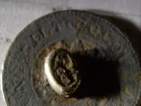 Field finds 5-6-08 014.webp