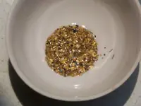 gold fever.webp