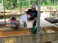 kids in gold fever.webp
