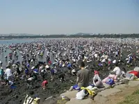 clam diggers.webp