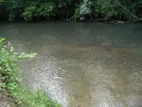 riveredge.webp
