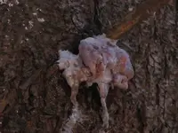 first hunt, floor 010.webp