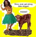 skirtlunch.webp