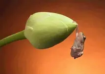 Hang in there !.webp