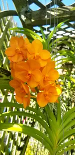 20201028_111154.webp