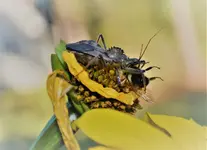 DSC_0476 (2).webp