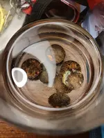 20201125-183123.webp