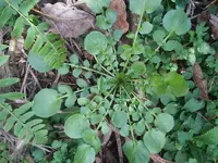 20201109_143108.webp