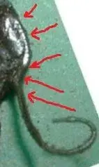 DSCF0011.webp