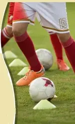Field Cones.webp