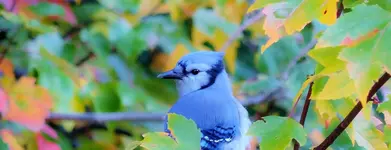 DSCN0832.webp