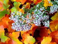 K1024_DSCN0875_InPixio.webp