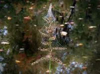 DSCN0857.webp