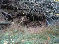 DSCF0003.webp
