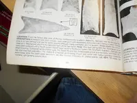 DSCN2111.webp