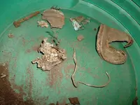 DSCF0012.webp