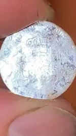 coin 1.webp