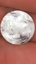 coin 2.webp