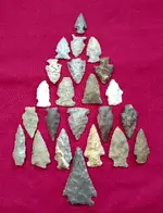 Arrowhead Tree.webp Arrowhead Tree.webp