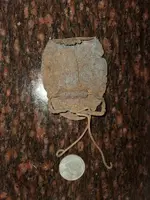 20201209_114350.webp