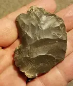 20201127_080911.webp