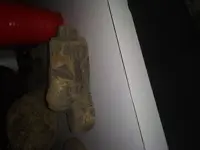 16108018061061446239067186032174.webp