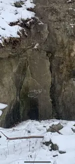 ImageUploadedByTreasureNet.com1609612198.130225.webp