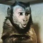 28472282_1598033116953815_3027662950894368415_n.webp