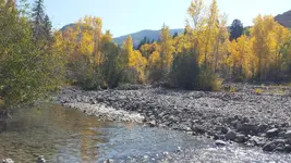 20201008_140454.webp