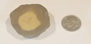 20201009_Flint_Buckeye_1_SMALL.webp