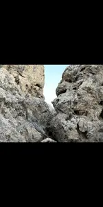 Screenshot_20201221-191024.webp