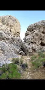 Screenshot_20201221-191203.webp