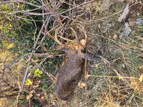 20201221_155025.webp