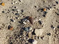 20210101_133756.webp