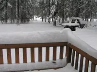 1st snow.webp