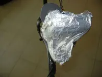 DSCN4191.webp