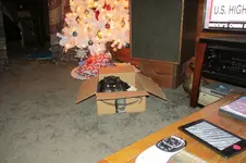 IMG_1589 (1).webp