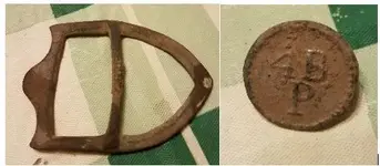 Buckle.webp