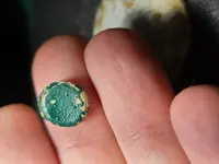 Small Piece of round lead painted green - Front.webp