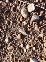 129369737_1000252237052191_4992368900801665983_n.webp