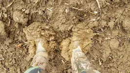 20210102_111825.webp