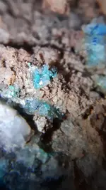 20210127_055731.webp