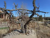 DSCN2793.webp